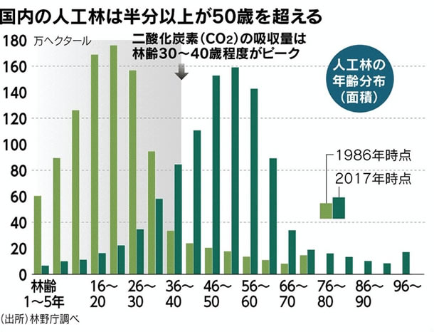 人工林の年齢分布（面積）